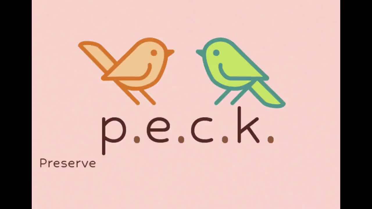 P.E.C.K. — AR Pen Pals